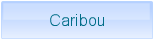 Caribou