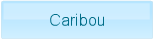 Caribou